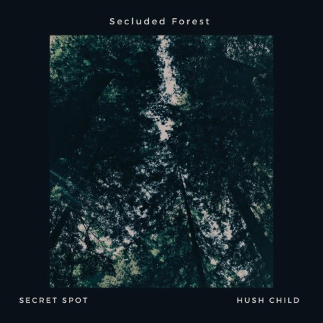 Secluded Forest ft. Hush Child | Boomplay Music