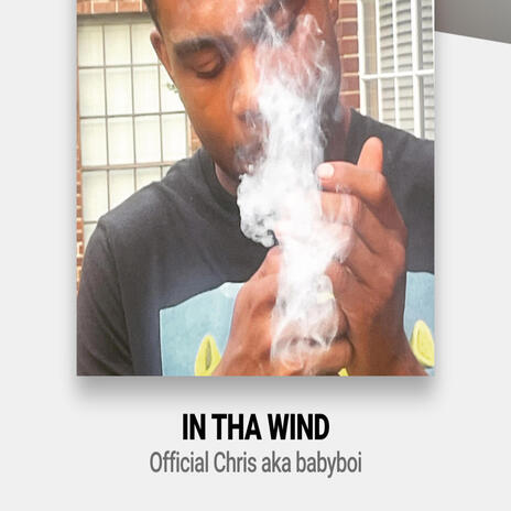 In Tha Wind | Boomplay Music