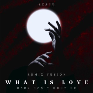 What Is Love (Baby Don't Hurt Me) (Remix)