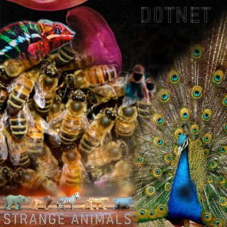 Strange Animals