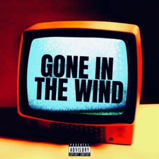 Gone In The Wind