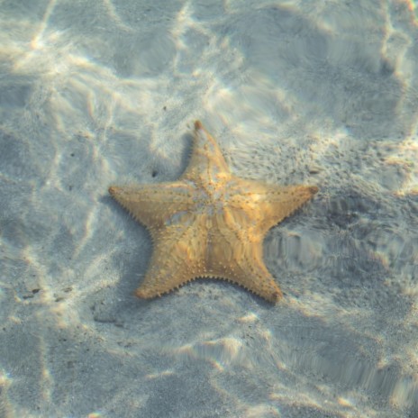 Sea Star ft. Radio Dubai