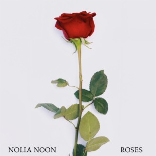Roses lyrics | Boomplay Music