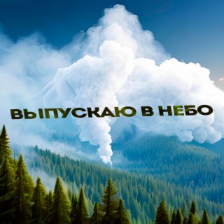 Выпускаю в небо