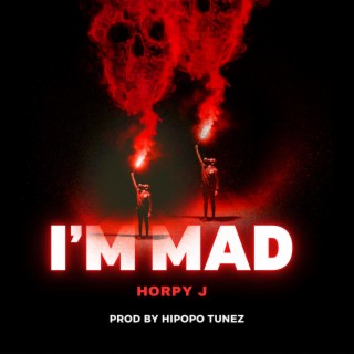 I'm Mad lyrics | Boomplay Music