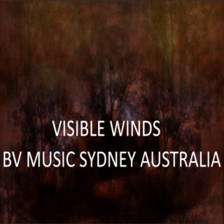 Visible Winds