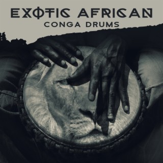 Exotic African Conga Drums: Tribal Music for Relaxation & Afro Percussion