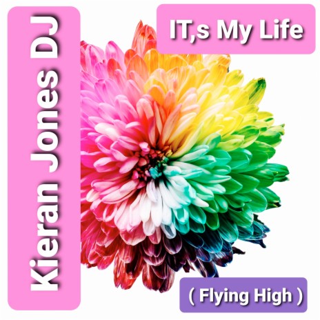 It's My Life (Flying High) | Boomplay Music
