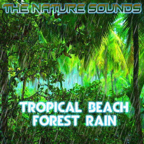 Tropical Beach Forest Rain and Meditative Waves