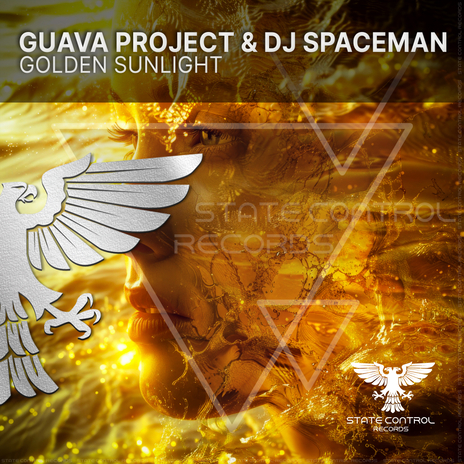 Golden Sunlight (Extended Mix) ft. DJ Spaceman | Boomplay Music