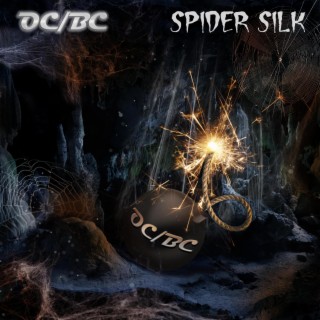 Spider Silk