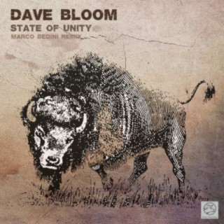 Dave Bloom