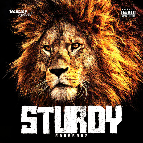 Sturdy | Boomplay Music