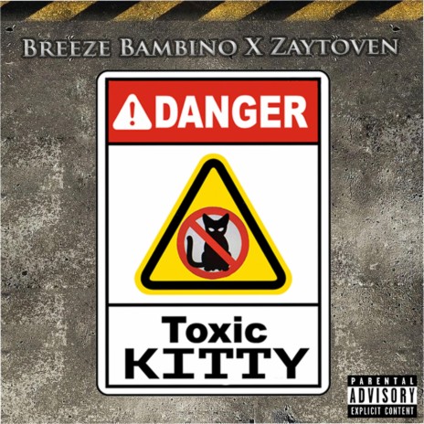 Toxic Kitty