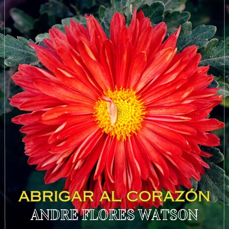 Abrigar al corazón | Boomplay Music