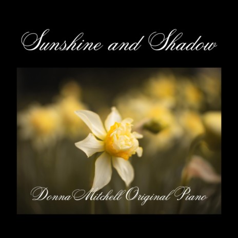 Sunshine and Shadow | Boomplay Music