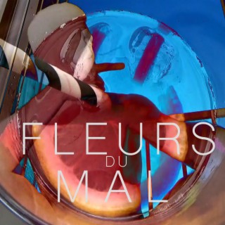 Fleurs du mal lyrics | Boomplay Music