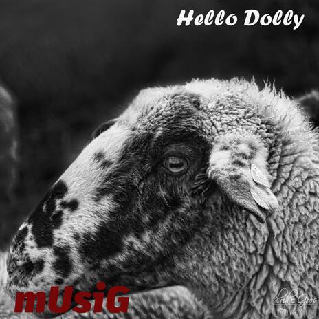 Hello Dolly | Boomplay Music