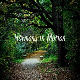 Harmony in Motion