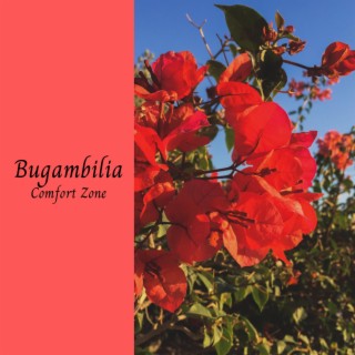 Bugambilia