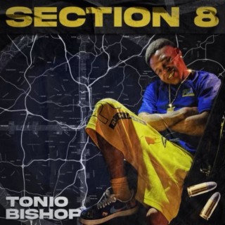 Section 8