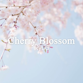 Cherry Blossom