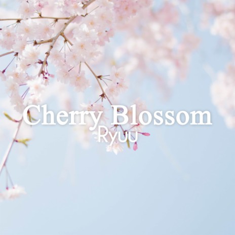 Cherry Blossom