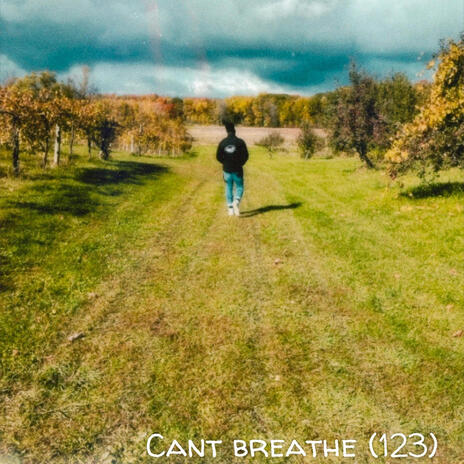 can't breathe (123) | Boomplay Music