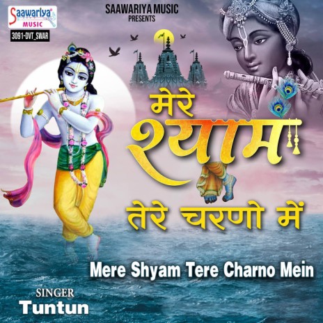 Mere Shyam Tere Charno Mein | Boomplay Music