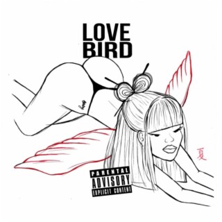 BIRD lyrics | Boomplay Music