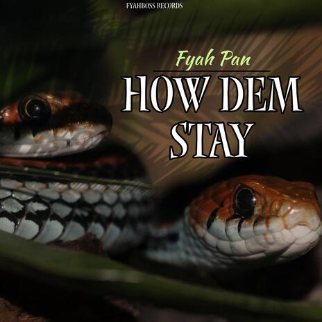 How Dem Stay | Boomplay Music