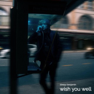 Wish You Well lyrics | Boomplay Music