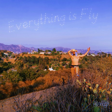 Everything is Fly | Boomplay Music