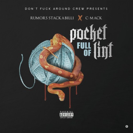 Pocket Full of Lint ft. C-Mack | Boomplay Music