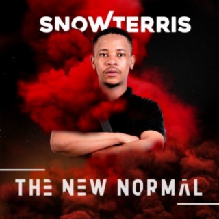 SnowTerris