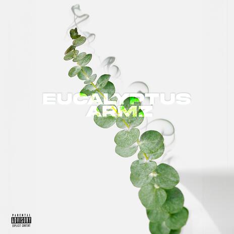 Eucalyptus | Boomplay Music