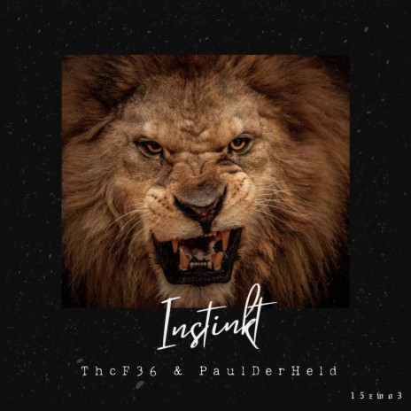 Instinkt ft. PaulDerHeld | Boomplay Music
