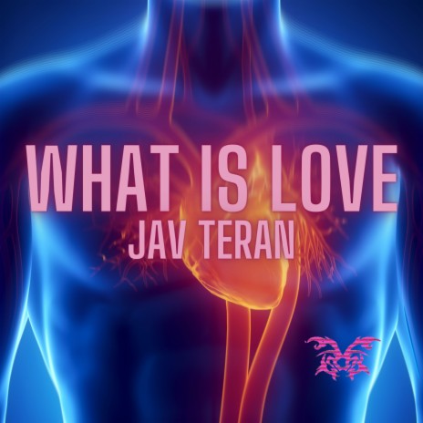 What is Love | Boomplay Music