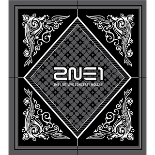 2NE1 1st LIVE CONCERT [NOLZA!]