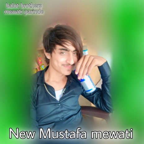 New Mustafa Mewati (Mewati song) | Boomplay Music