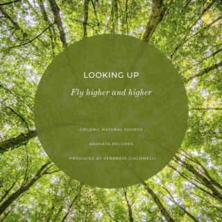 Looking up : Fly Higher and Higher