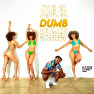 DUMB lyrics | Boomplay Music