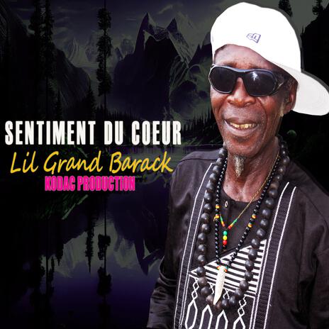 Sentiment du Coeur | Boomplay Music