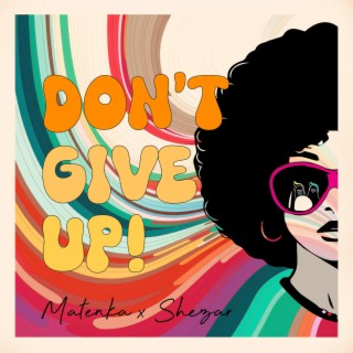 Don't Give Up ft. ShezAr lyrics | Boomplay Music