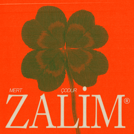 zalim | Boomplay Music