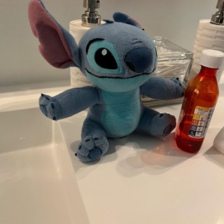 Stitch