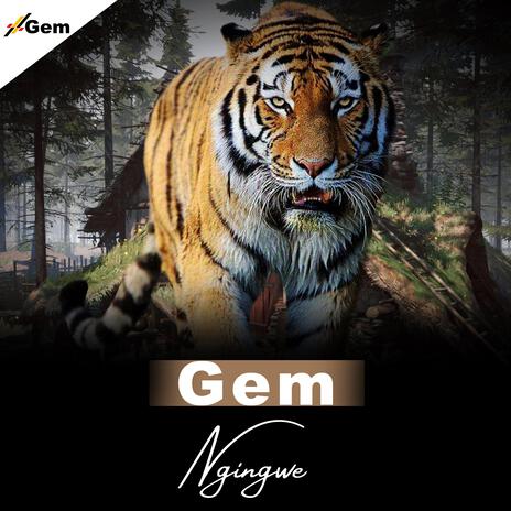 Ngingwe | Boomplay Music