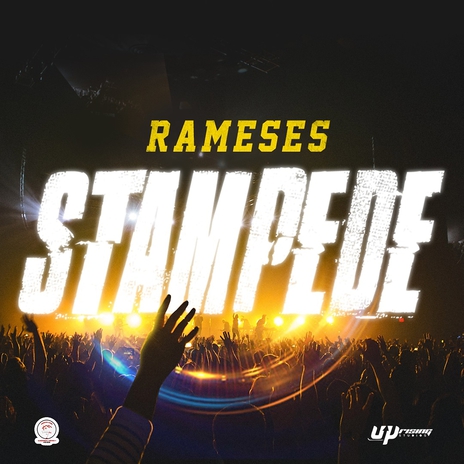 Stampede | Boomplay Music