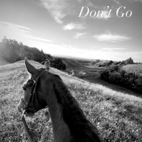 Don't Go | Boomplay Music