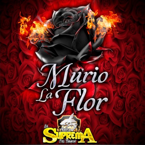 Murio La Flor | Boomplay Music